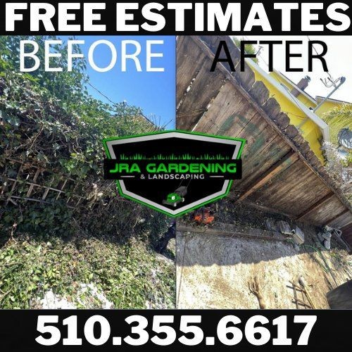 we remove, and trim plants 