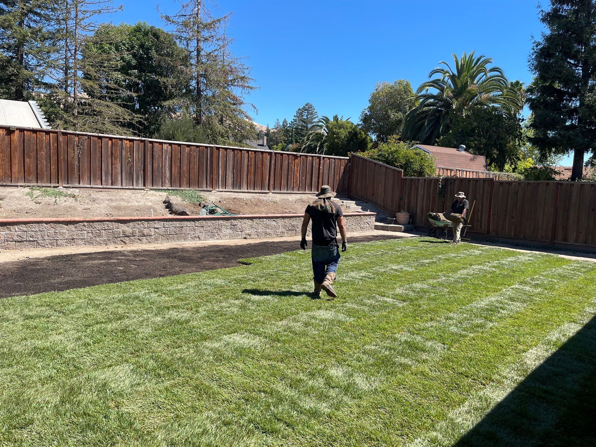 we not only install sod and sprinkler systems we also maintain and fertile